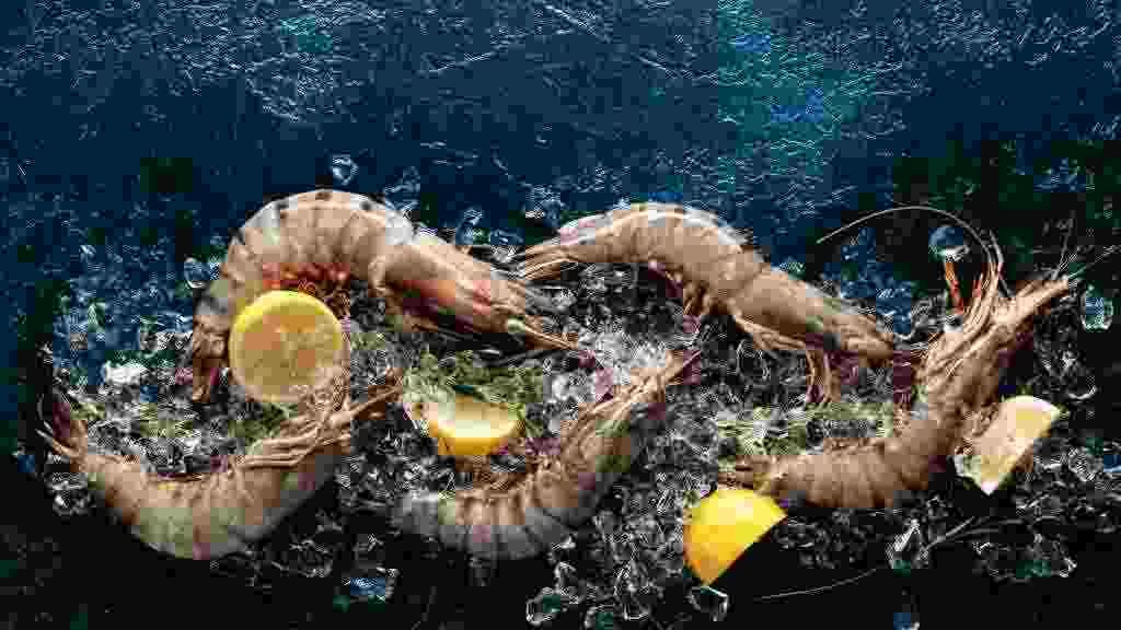 Fresh,Tiger,Prawns,With,Lemon,,Rosemary,And,Crushed,Ice,On