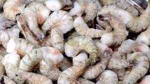 Fresh,Tiger,Shrimps,With,Ice