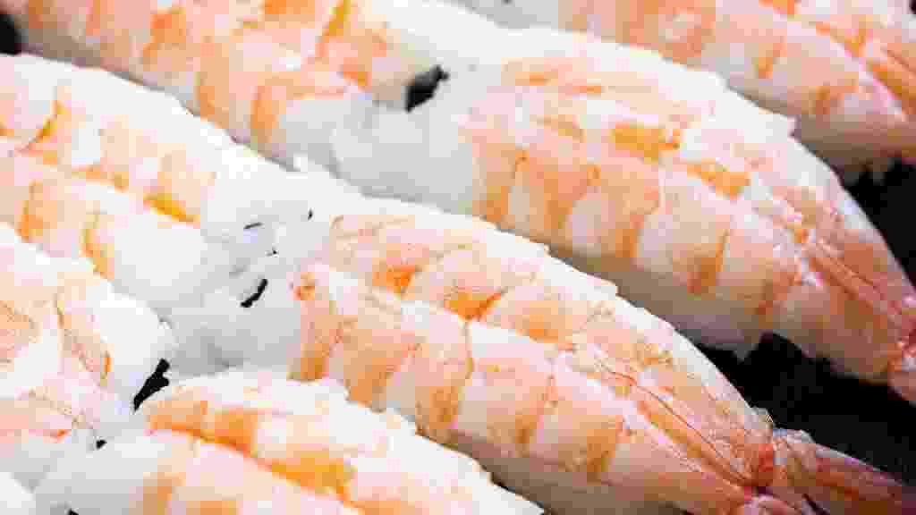 Ebi,Nigiri,Sushi,-,Japanese,Prawn,Sushi,Pattern.