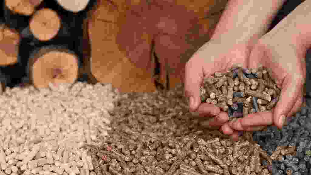 Different,Kind,Of,Pellets-,Oak,,Pine,sunflower,,In,Female,Hands-,Selective