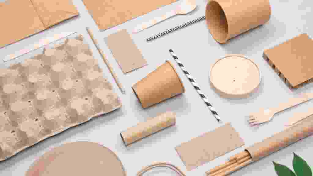 Set,Of,Eco-friendly,Tableware,And,Kraft,Paper,Food,Packaging,On