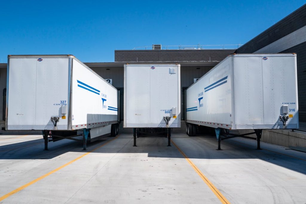service-customs-import